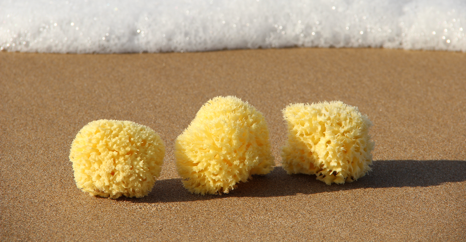 Spugne Da Bagno Naturali Konjac Per Bambini – Morbide, Multicolore, 3 Pezzi – Biodegradabili E Ipoallergeniche